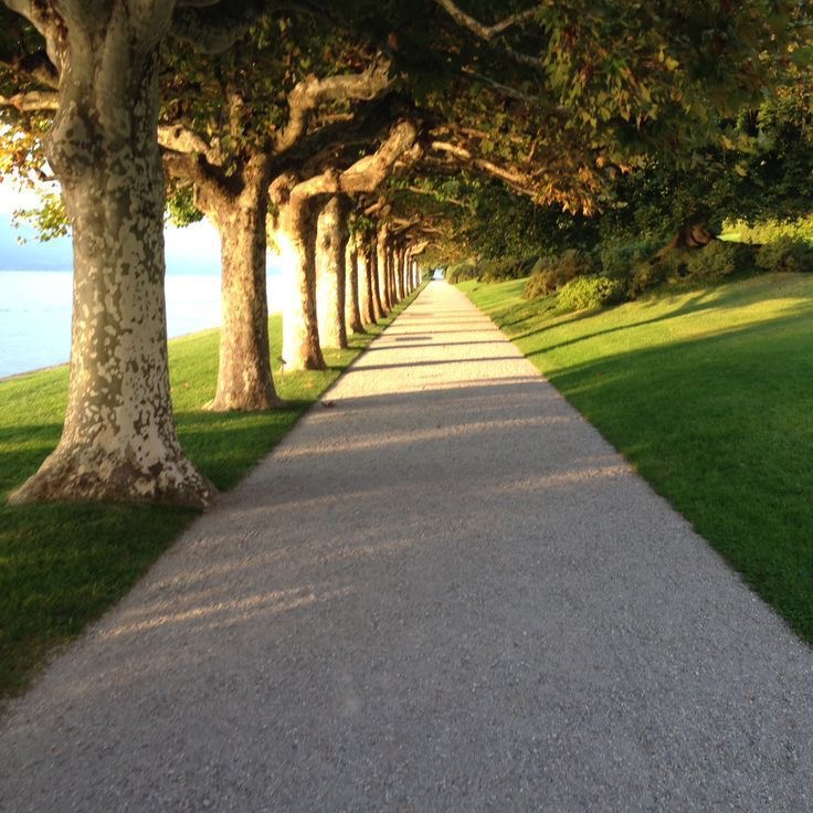 طبیعت و سلامت روان