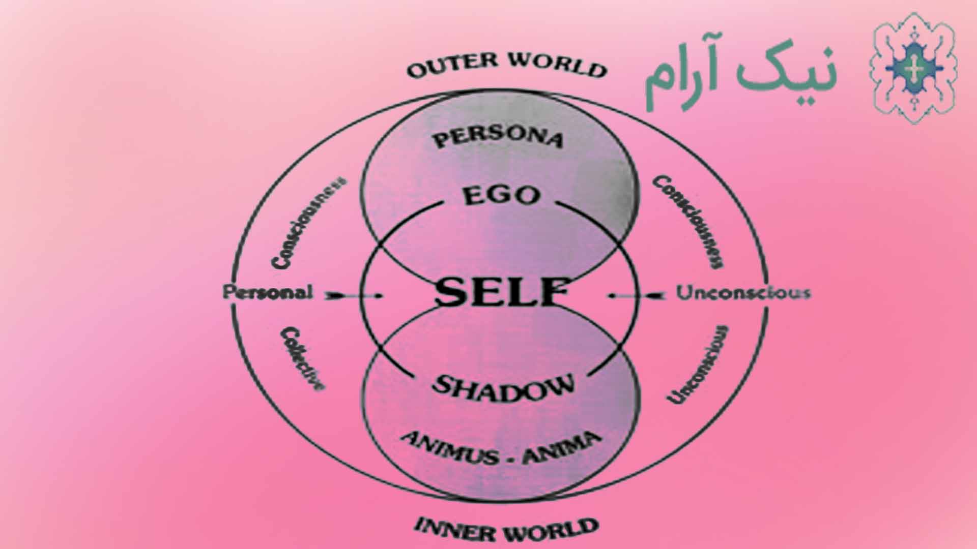 کلینیک روانشناسی ترنسپرسونال 