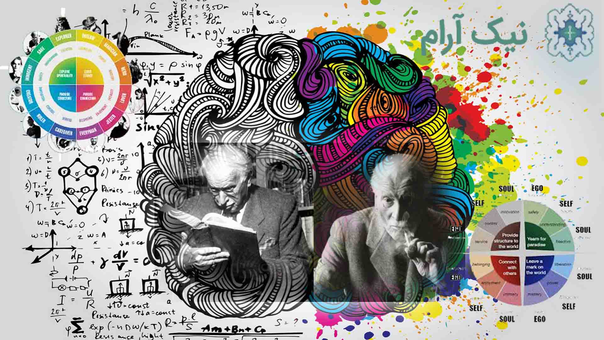 روانشناس یانگی